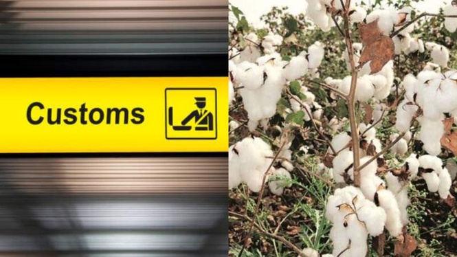 Image from: Centre exempts customs duty on import of cotton till October 30