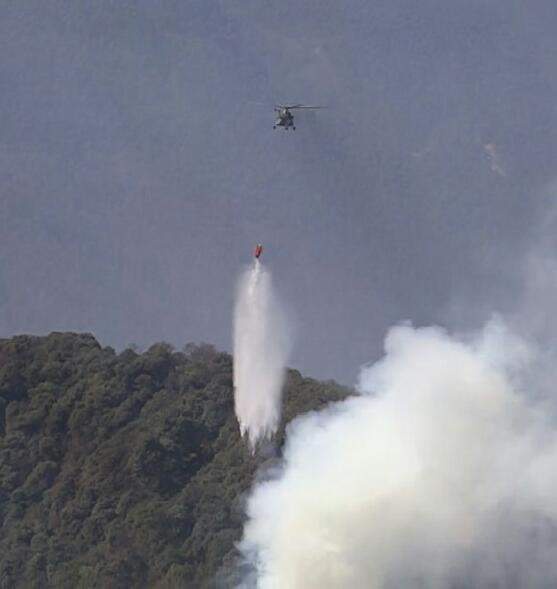 Image from: In a first, IAF carries out Bambi bucket operations at night to douse Kasauli forest fire