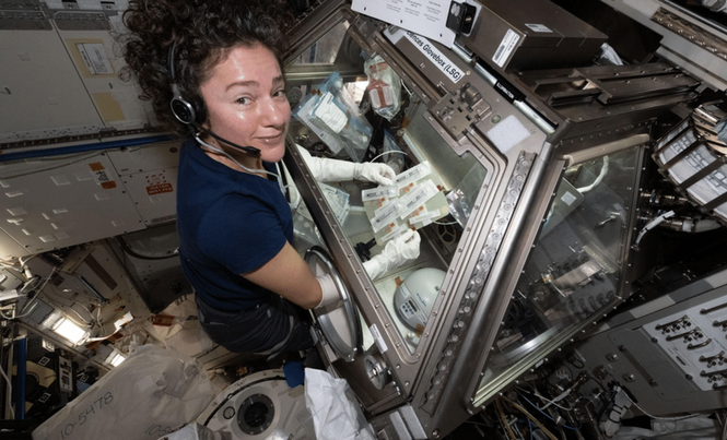 Image from: Scientists On The ISS Investigate A Hidden Health Threat That Could Affect Future Moon Missions