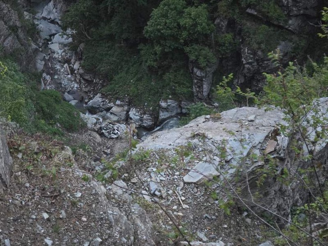 Image from: 8 feared dead as tourist vehicle plunges into gorge in Chamba