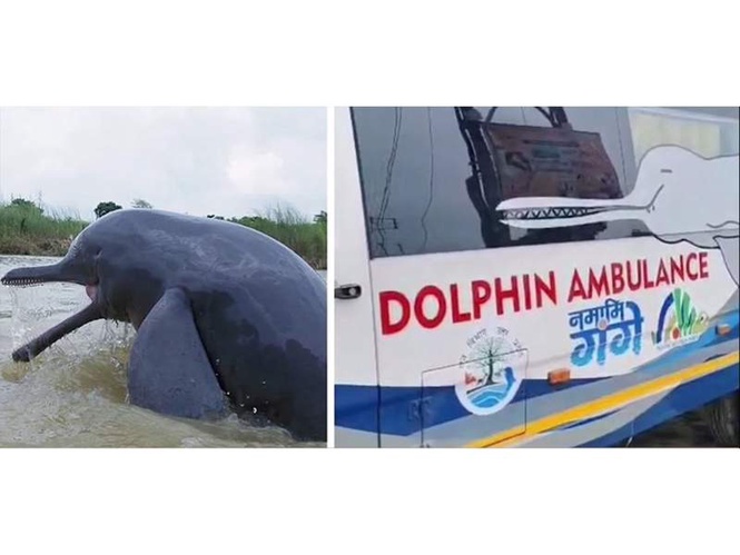 Image from: "A ray of hope": PM Modi hails 'Namami Gange Abhiyan' initiative for saving trapped Gangetic dolphin in UP