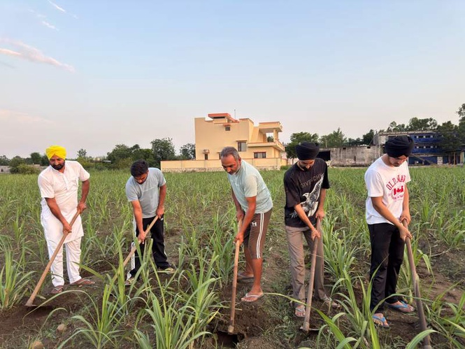 Image from: Jalandhar family’s organic farming success story spans 2 decades and 3 generations