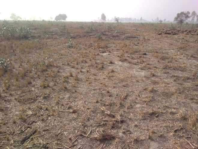 Image from: 17 officials suspended over irregularities in auction of 2K acres of panchayat land in Patiala