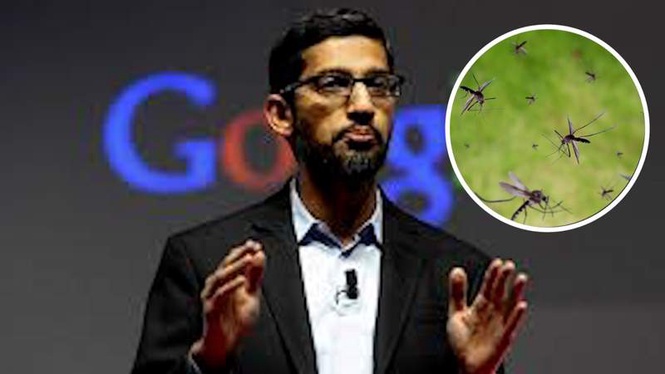 Image from: Why Google plans to release 64 million mosquitoes in US?