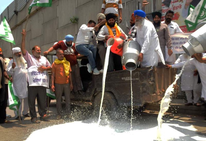 Image from: Why farmers in Amritsar are spilling milk on roads?