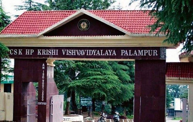 Image from: Palampur agri varsity gets fourth acting VC in 3 yrs, regular appointment elusive
