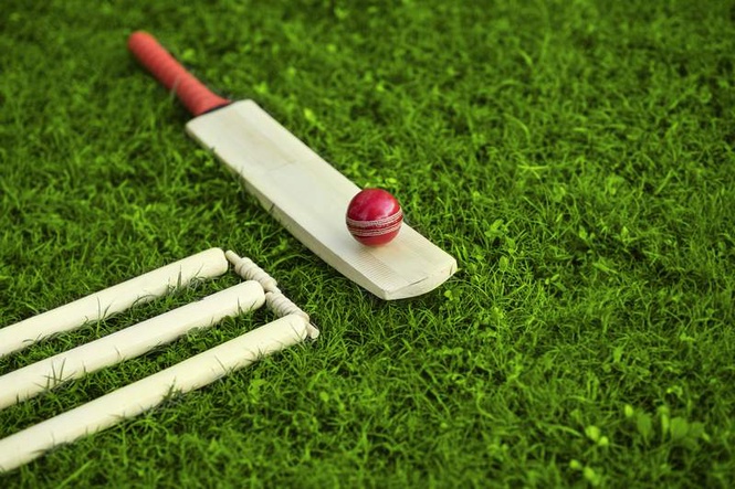 Image from: Boy crushed to death under pitch roller at cricket camp in Maharashtra’s Solapur; 2 coaches booked