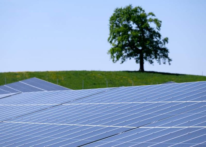 Image from: German solar firms see order surge as Iran war drives up energy prices