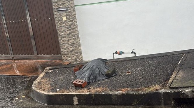 Image from: Seven dogs poisoned in Balik Pulau, report lodged