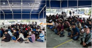 pelarian rohingya