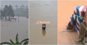 ular banjir china