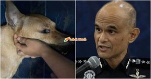 anjing rocky pertuduhan esok