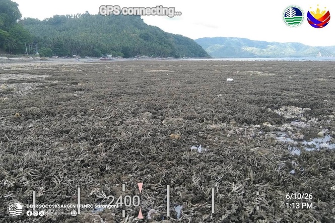 Deadly quake raised seabed by up to two meters