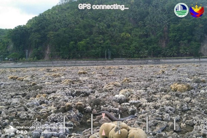 Deadly quake raised seabed by up to two meters