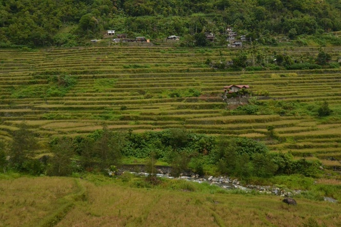 DA to restore Banaue Rice Terraces