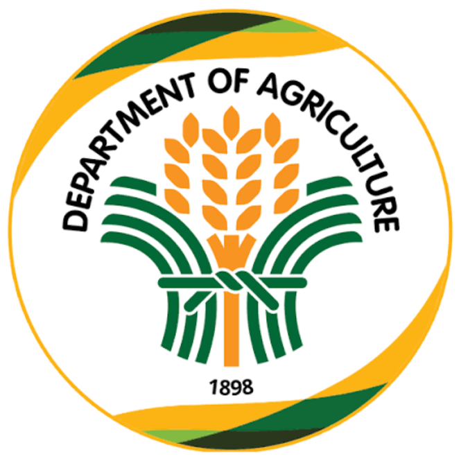 Agriculture dept approves P2.06B in rural road projects