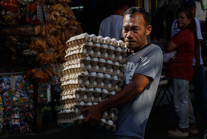 PH retailers shifting to cage-free eggs