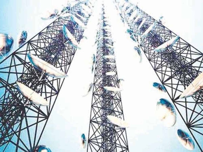 Digital infrastructure must be matched by education reforms — group