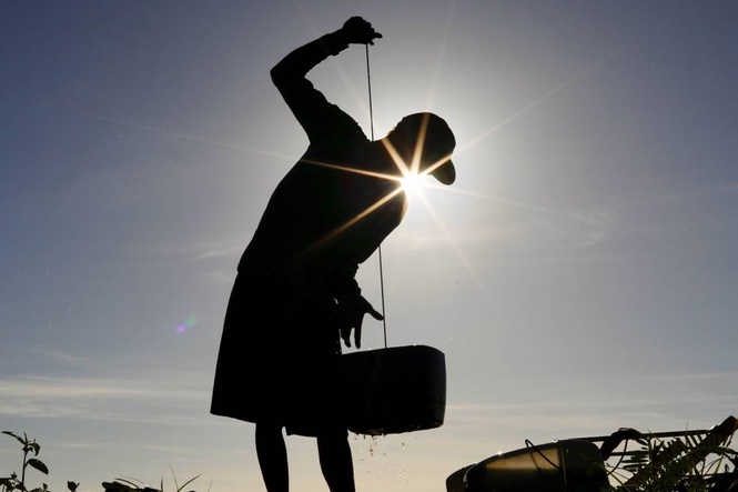 How agriculture can attract talent, ambition