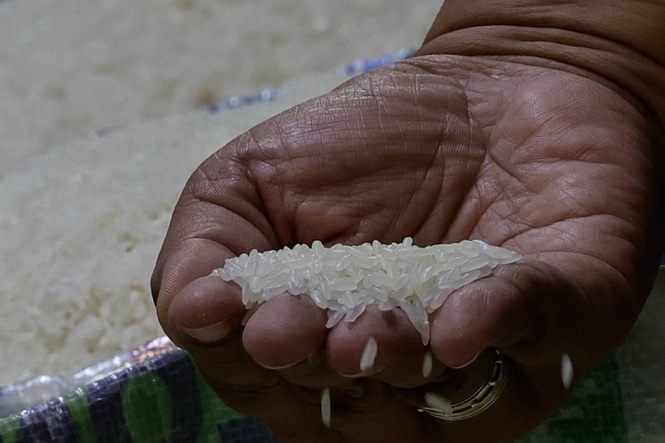 Rice, pork prices down in early July