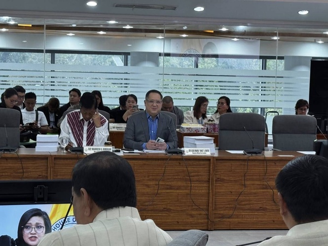 Bill seeks removal of VAT on power
