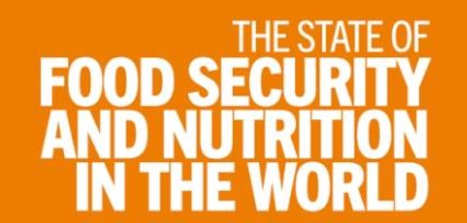 Rising prices put healthy diets out of reach