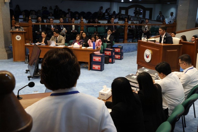 OVP records failed to show how P125M was used in 11 days