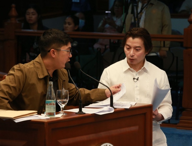 OVP tried to get COA to go easy on findings