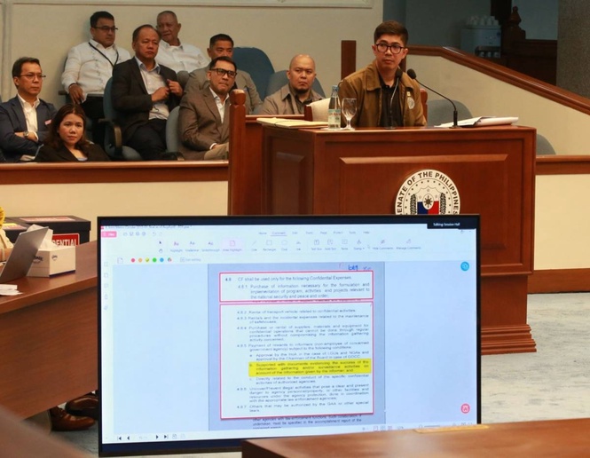 COA auditor: Use of aliases in confidential fund receipts 'neither allowed nor prohibited'