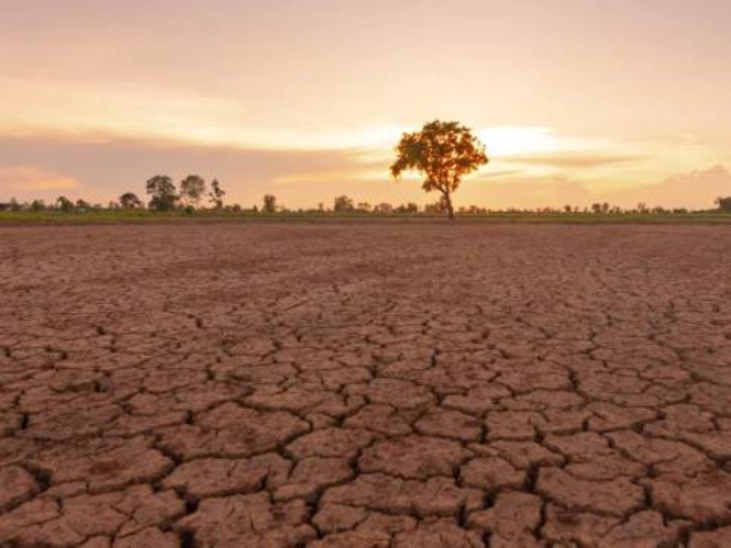 Late-year tightening seen due to El Niño