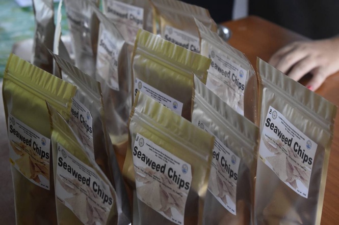 DMMMSU targets ‘gracilaria’ for La Union