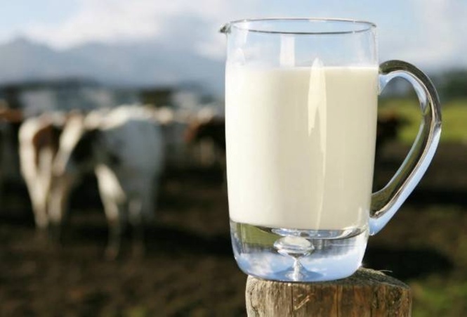 Local milk production up 21.2% in H1