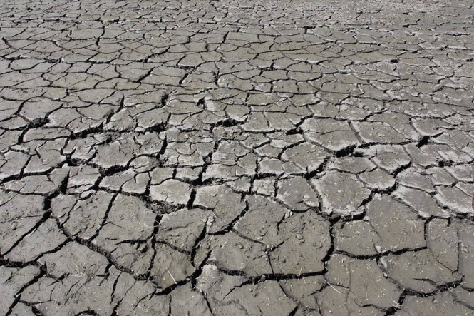 Record-breaking El Niño could unleash extreme weather globally