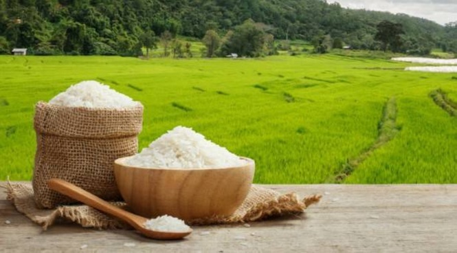 DA creates office to boost rice industry