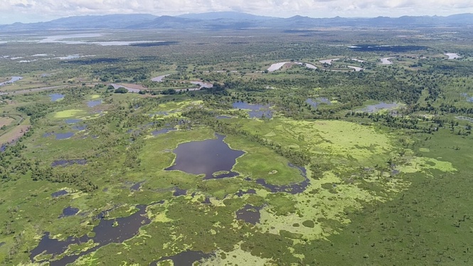 Asean launches 10-year road map to protect regional heritage parks