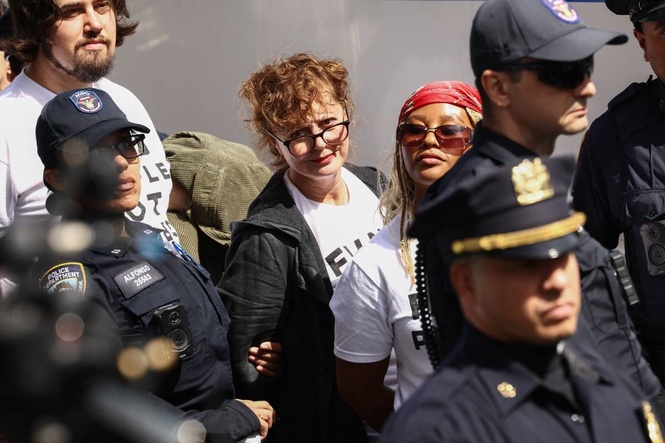 Hollywood stars among arrests in NY anti-Netanyahu protest