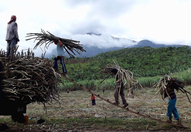 Sugar farmers want minimum millgate price