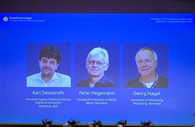 US-German trio win Nobel for work on optogenetics