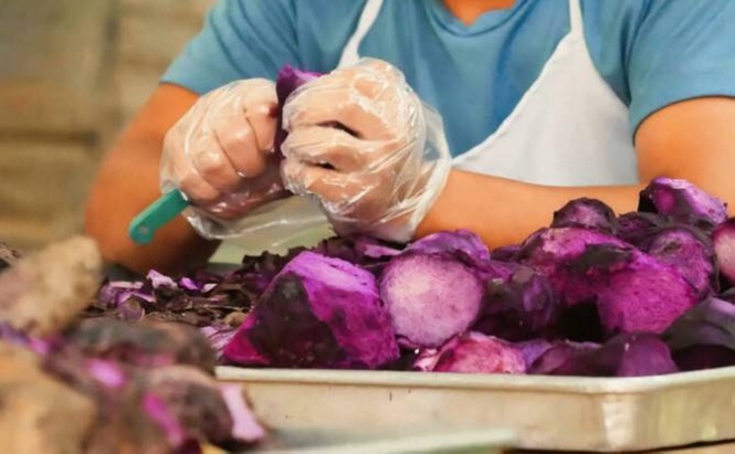 DA expands Cagayan Valley ube production for export