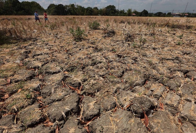 Gatchalian seeks DA contingency plan as El Niño agri damage hits P6.8B
