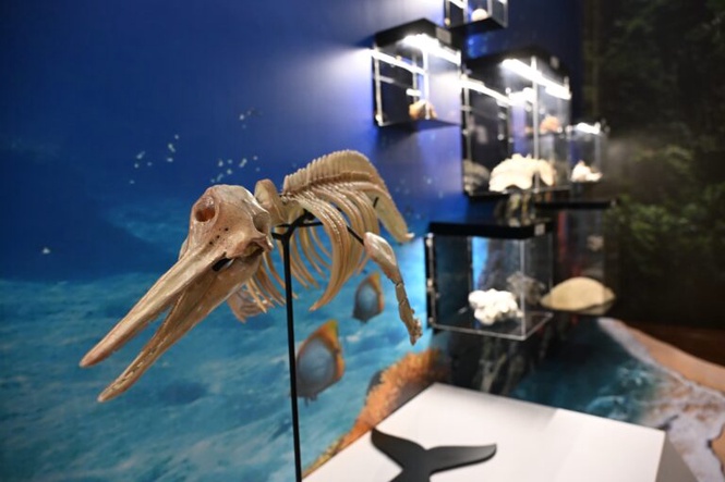 Image from: Penang Museum officially ‘reopened’ after delicate touch-ups