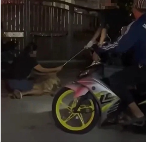 Image from: #JusticeForRocky: Public outcry grows over dog’s death during Klang council operation