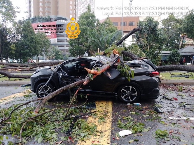 Penang adopts satellite tech to identify rotting trees