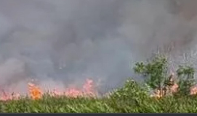 Malaysia records 18,432 open fires in seven months as 183 hotspots put on watchlist