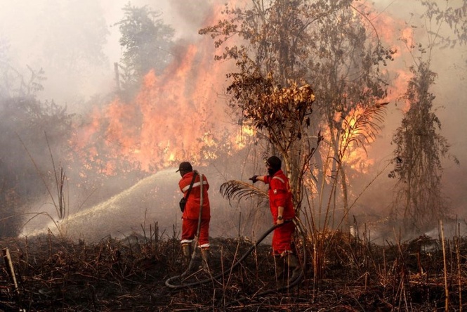 Indonesia arrests 72 over forest fires as haze spreads to Malaysia