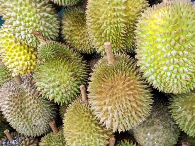 Vietnam farmers swap coffee for durian as China’s demand fuels boom