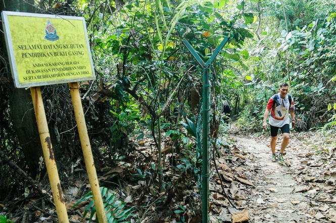 Jangan panik jika sesat, ikut langkah 'STOP' ketika mendaki