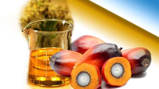 Malaysia to roll out B15 biodiesel from June 1