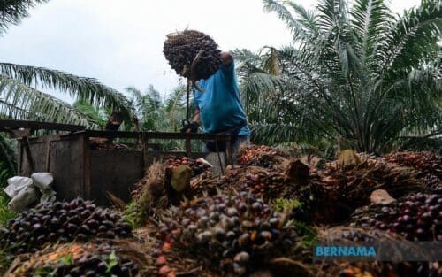 Biodiesel B15 mampu redakan tekanan kos, kukuhkan bekalan
