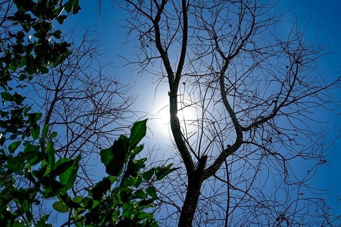 Malaysia braces for hotter, drier conditions as El Nino approaches